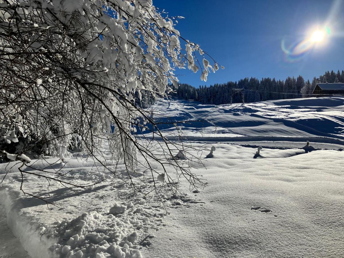 Ferienwohnung Bergblick Am Rande Der Wildnis Sibratsgfäll Zewnętrze zdjęcie